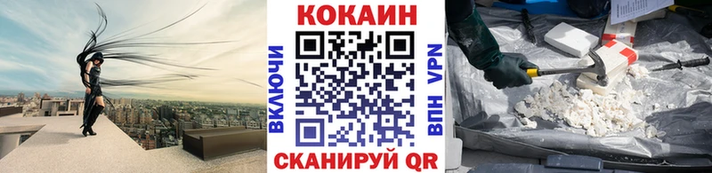 цена наркотик  Лесосибирск  MEGA сайт  COCAIN FishScale 