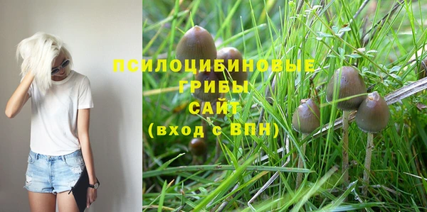 прущие грибы Алексеевка
