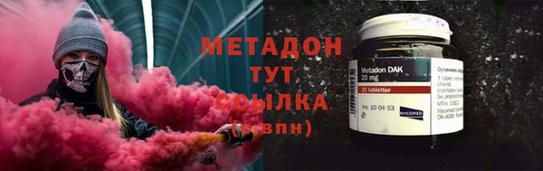 прущие грибы Алексеевка