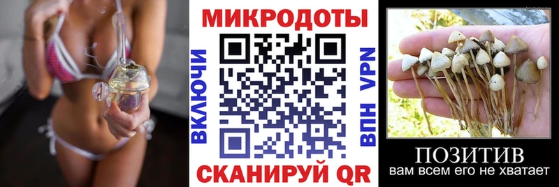 Галлюциногенные грибы Cubensis  где продают наркотики  Лесосибирск 